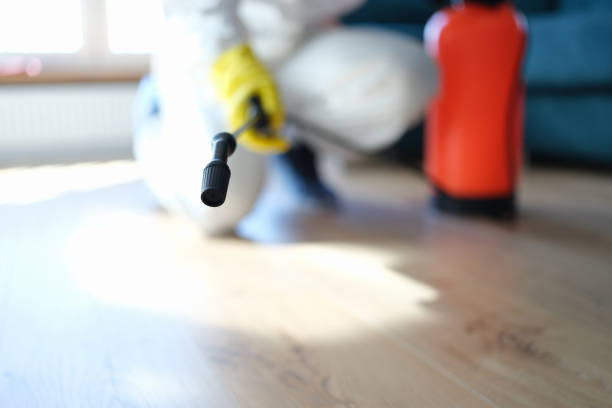Best Asbestos and Lead Testing During Mold Inspection  in Newport, SC