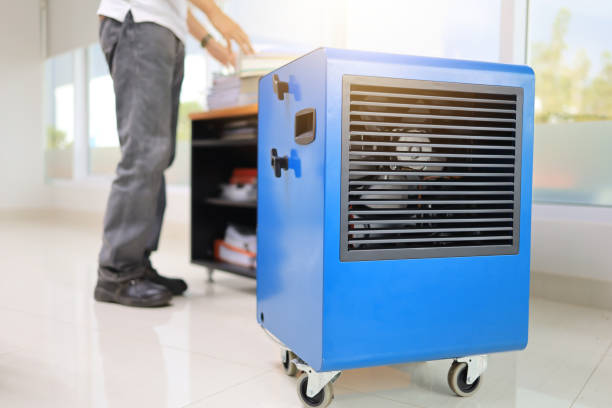 Best Black Mold Removal  in Newport, SC